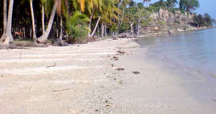 Keajaiban Tersembunyi di Malang: Pantai Jonggring Saloko, Pesona yang Jarang Dikunjungi