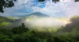 Ngarai Sianok: Keindahan yang Mendunia di Sumatra Barat